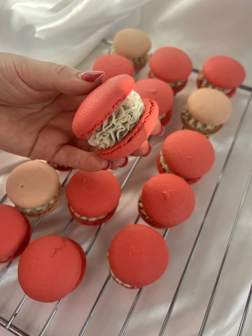 Nastassia Chocolate — макаронс в подарочной коробке